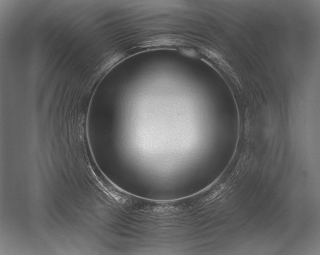 X0000052551233200507081601