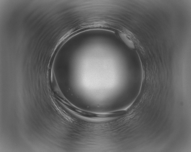 X0000052551234200507081601