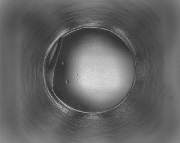 X0000052551235200507081601