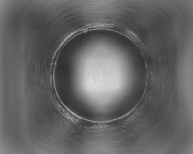 X0000052551236200507081601