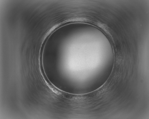 X0000052551237200507081601