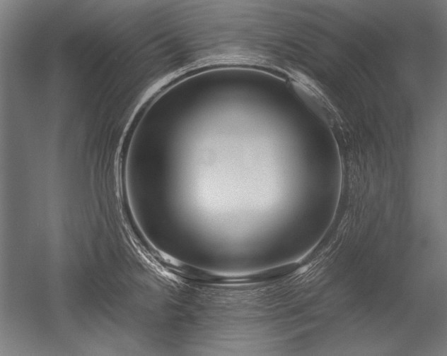 X0000052551238200507081601