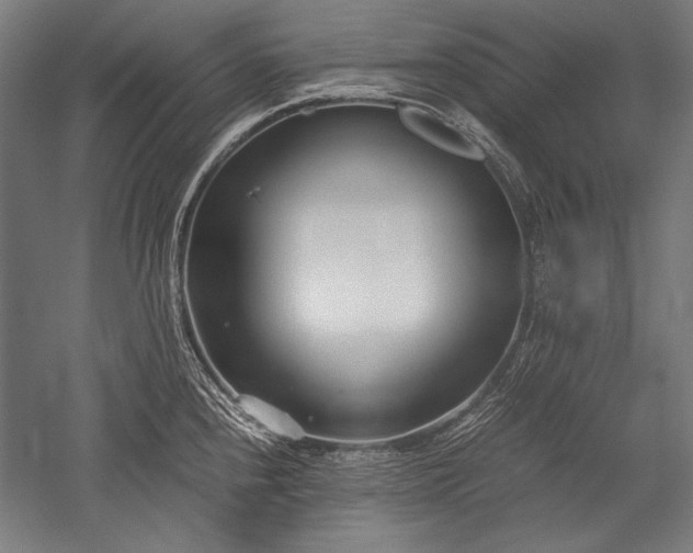 X0000052551240200507081601