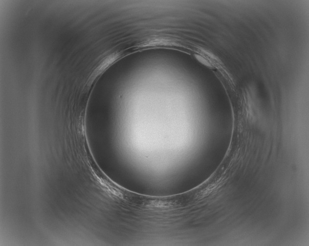 X0000052551241200507081601