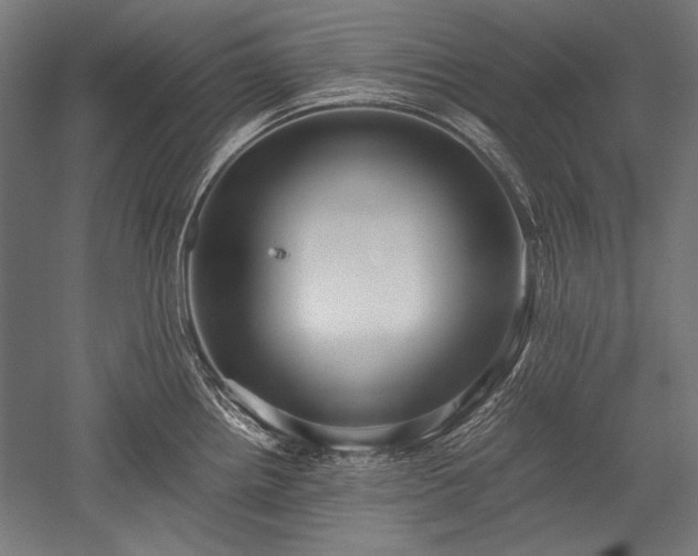 X0000052551242200507081601