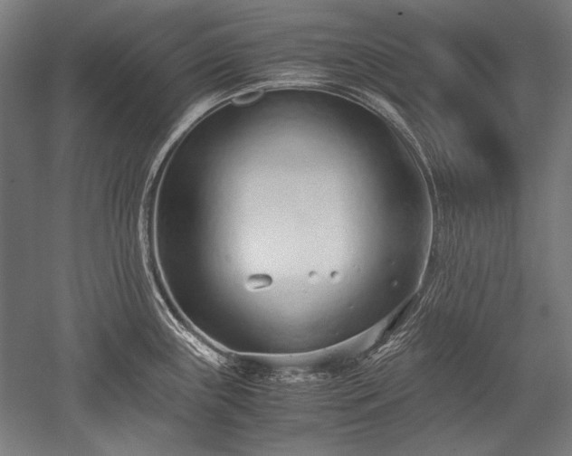 X0000052551243200507081601