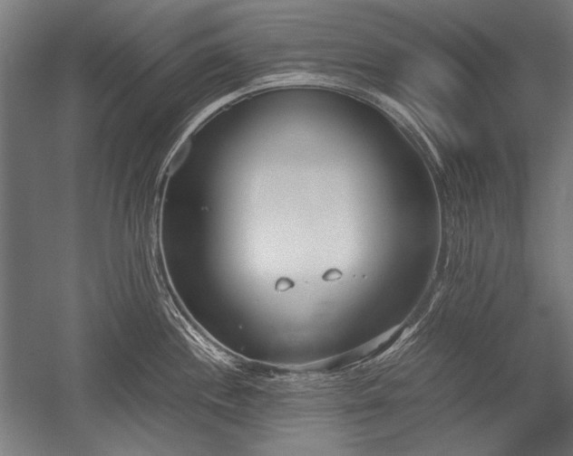 X0000052551244200507081601