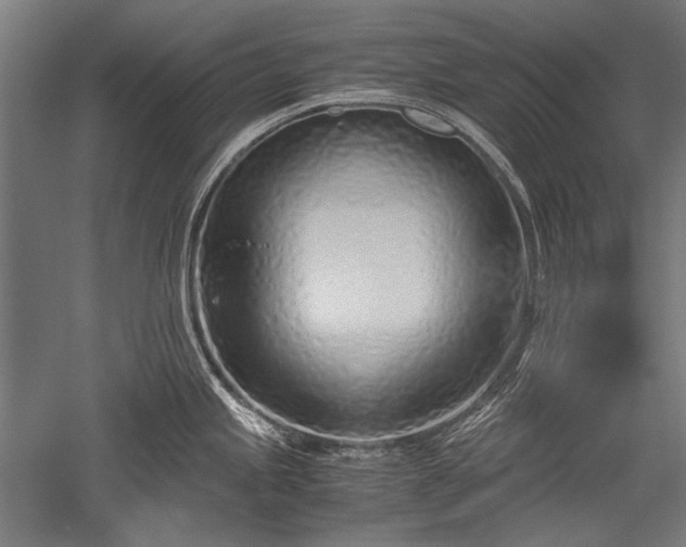 X0000052551245200507081601