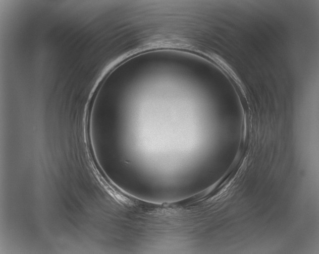 X0000052551246200507081601