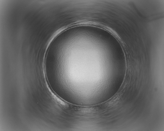 X0000052551247200507081601