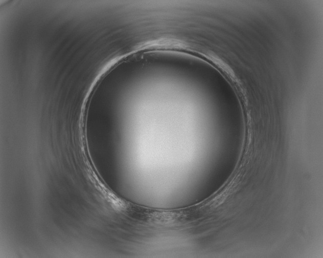 X0000052551248200507081601