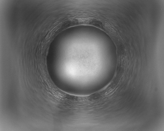 X0000052551249200507081600