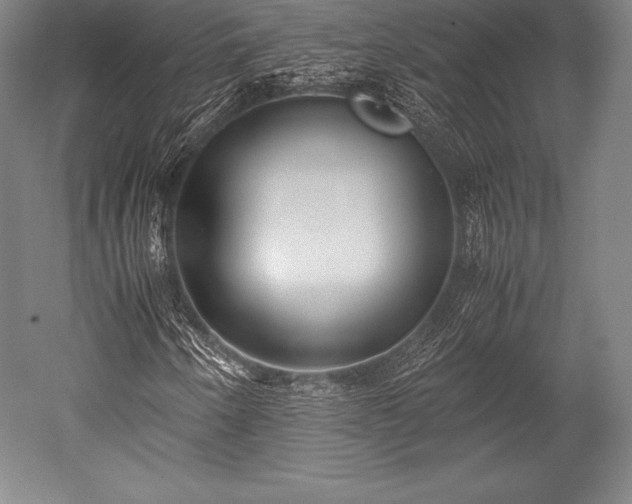 X0000052551250200507081600