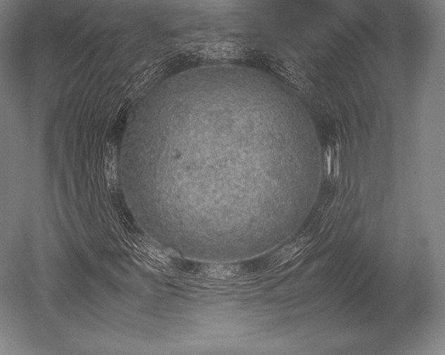 X0000052551251200507081600