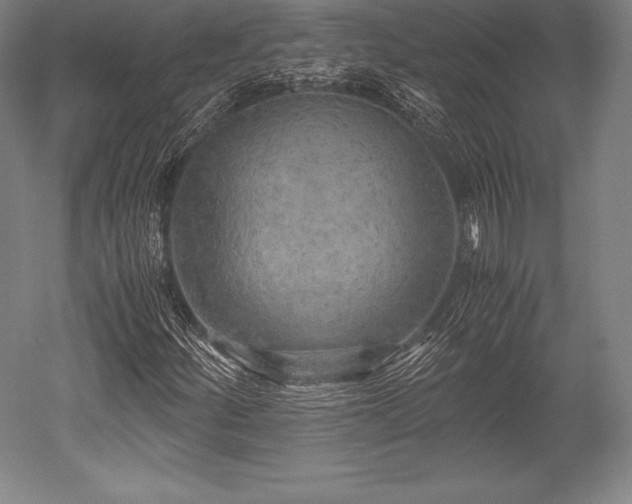 X0000052551252200507081600