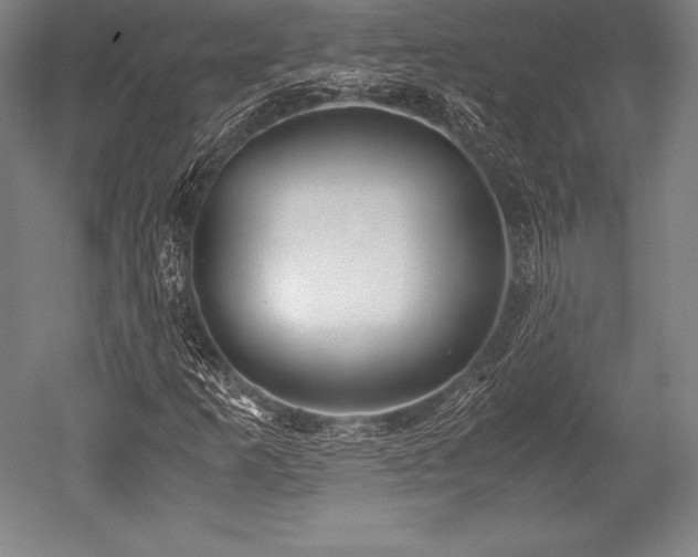 X0000052551253200507081600