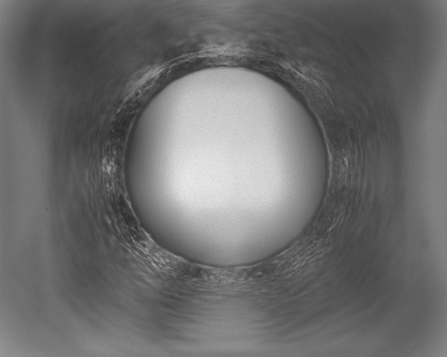 X0000052551254200507081600