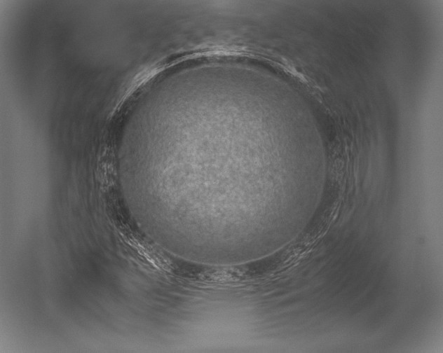 X0000052551255200507081600