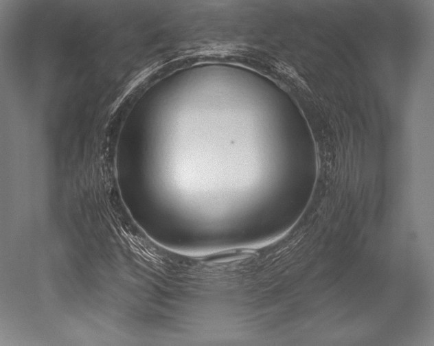 X0000052551256200507081600