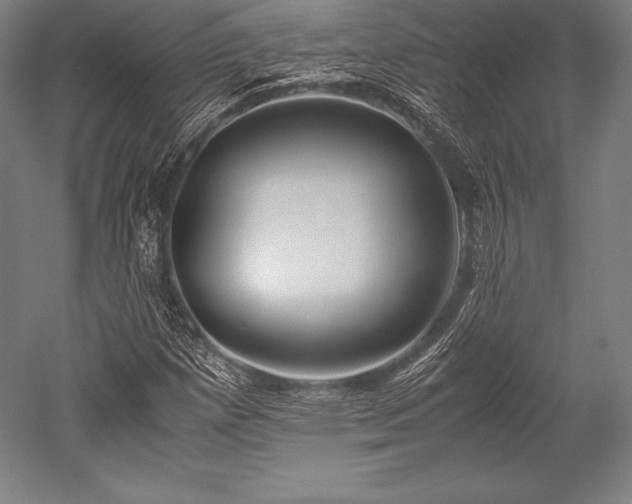 X0000052551257200507081600