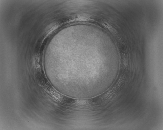 X0000052551258200507081600