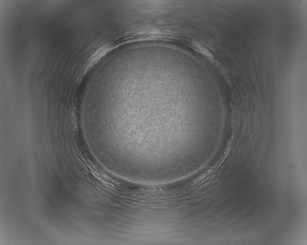 X0000052551259200507081600