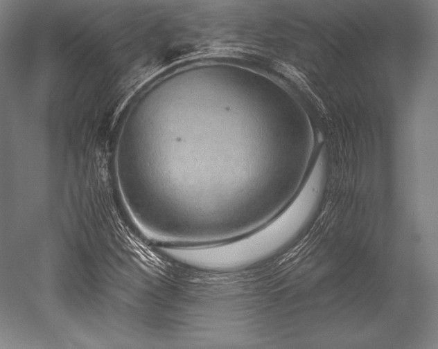 X0000052551260200507081600