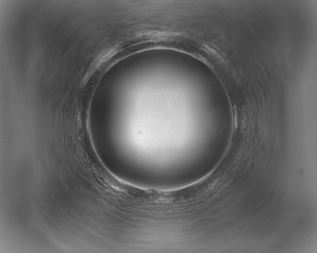 X0000052551261200507081600