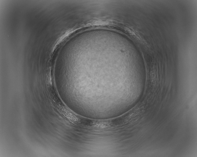 X0000052551262200507081600