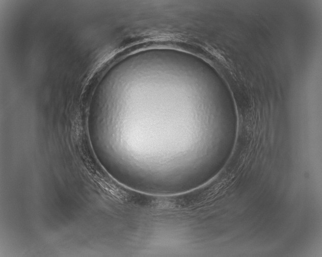 X0000052551263200507081600