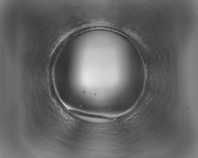 X0000052551264200507081600