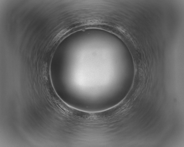 X0000052551265200507081600