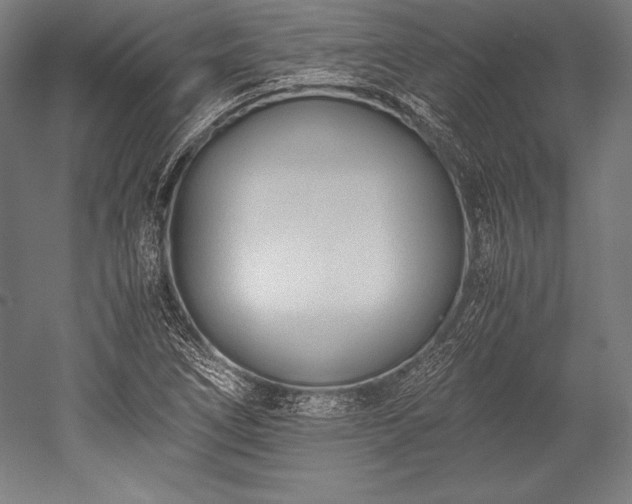 X0000052551266200507081600