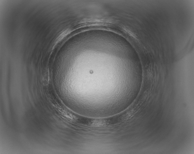 X0000052551267200507081600