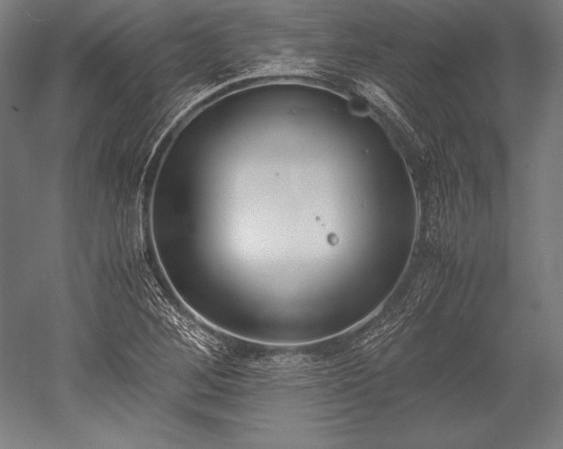 X0000052551268200507081600