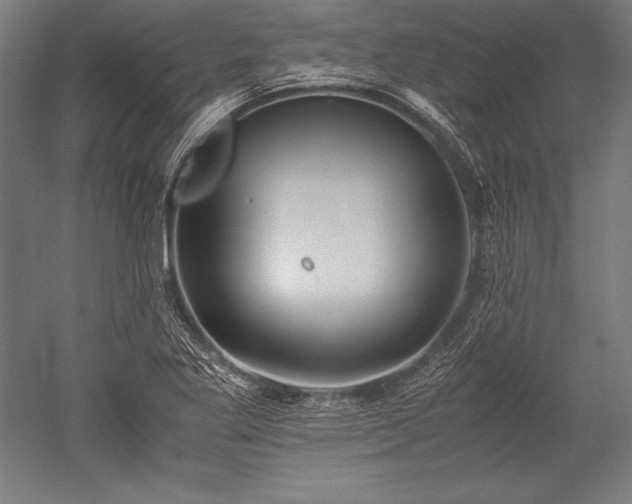 X0000052551269200507081600