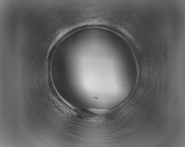 X0000052551270200507081600