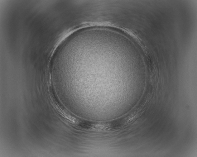 X0000052551271200507081600