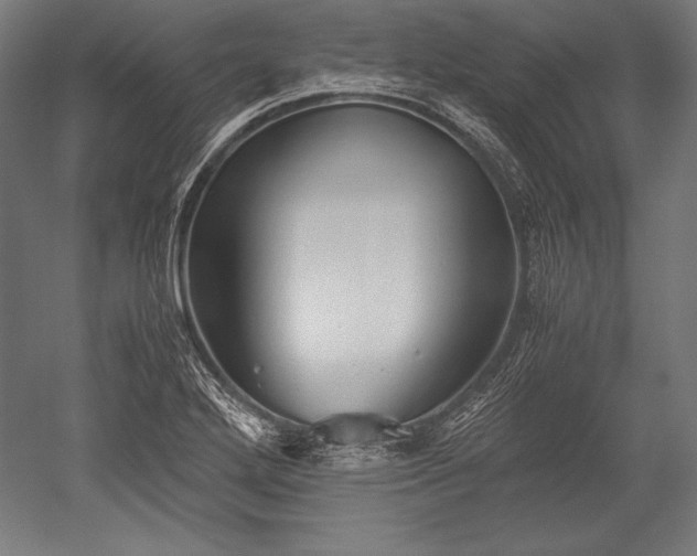 X0000052551272200507081600