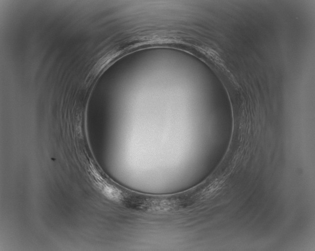 X0000052551273200507081600