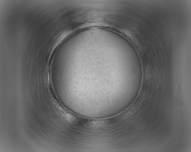 X0000052551274200507081600