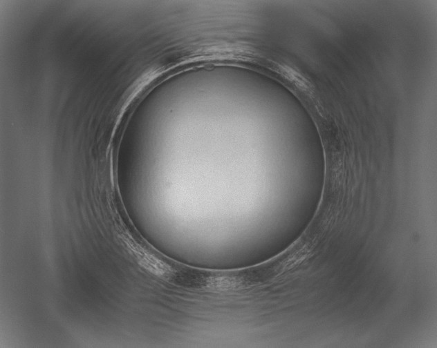 X0000052551275200507081600