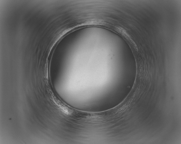 X0000052551276200507081600