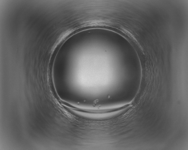 X0000052551277200507081600