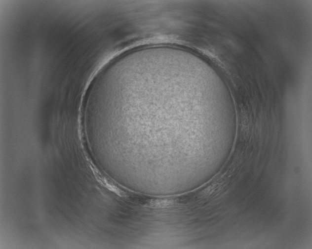 X0000052551278200507081600