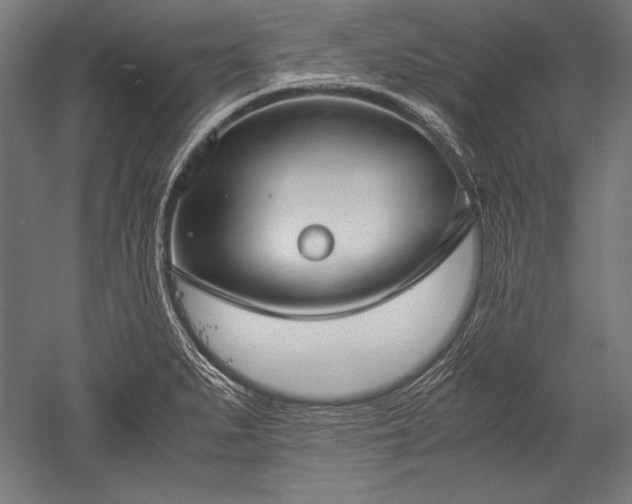 X0000052551279200507081600