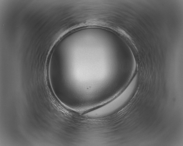 X0000052551280200507081600