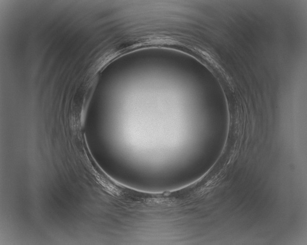 X0000052551281200507081600