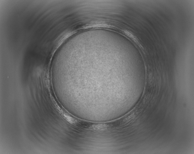 X0000052551282200507081600