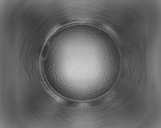 X0000052551283200507081600